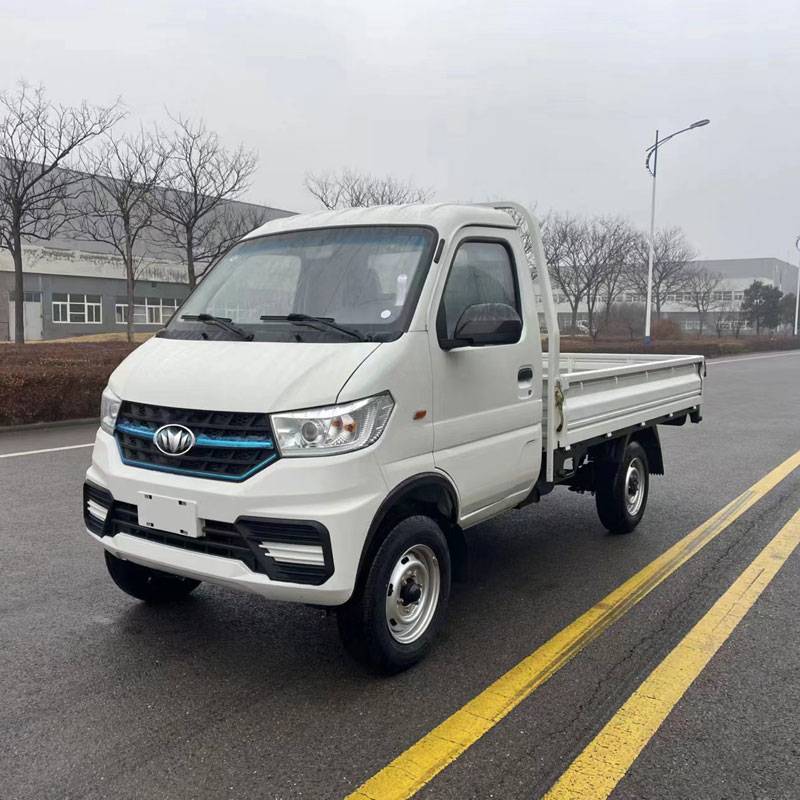 N20 Mini Truck nga adunay Esc ug Airbags